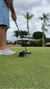 The Putting Arc MS-3D - Golf Putting Aid