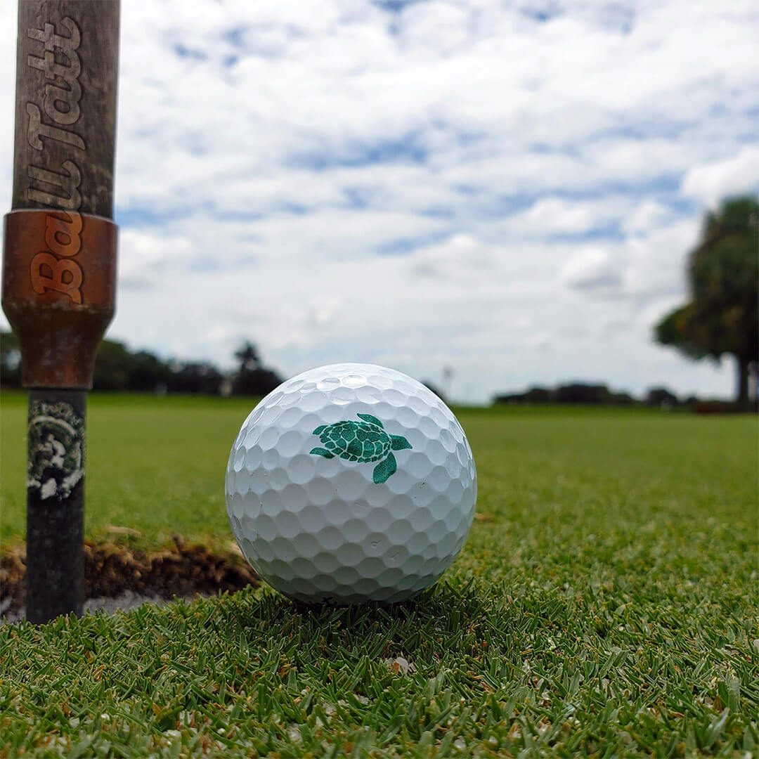 Green Turtle Golf Ball Stamp