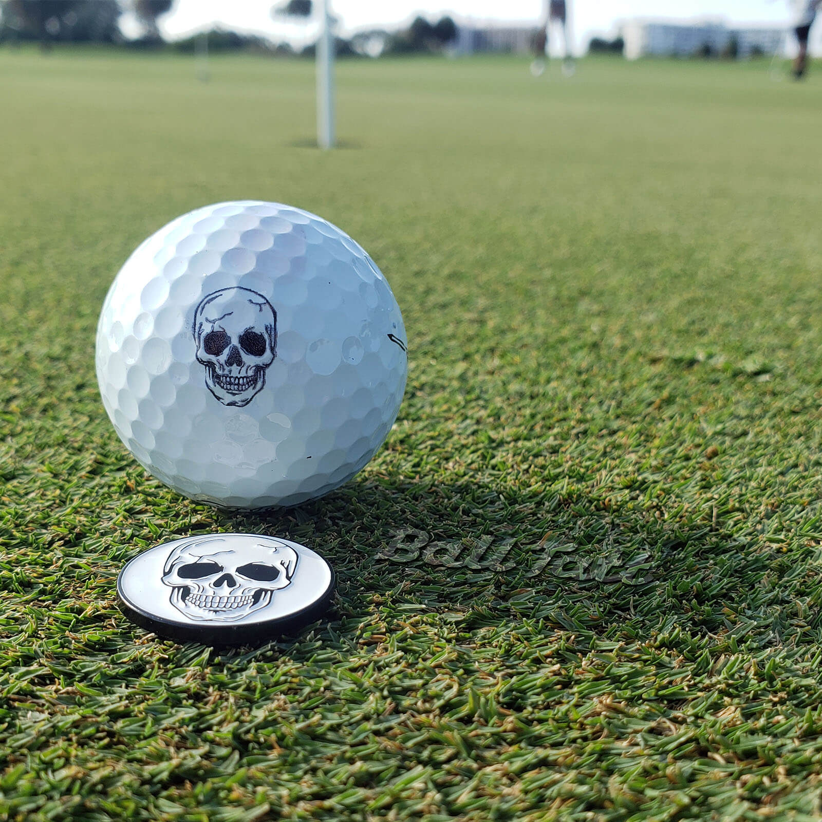 Skull Golf Ball Stamp and Marker Gift Set