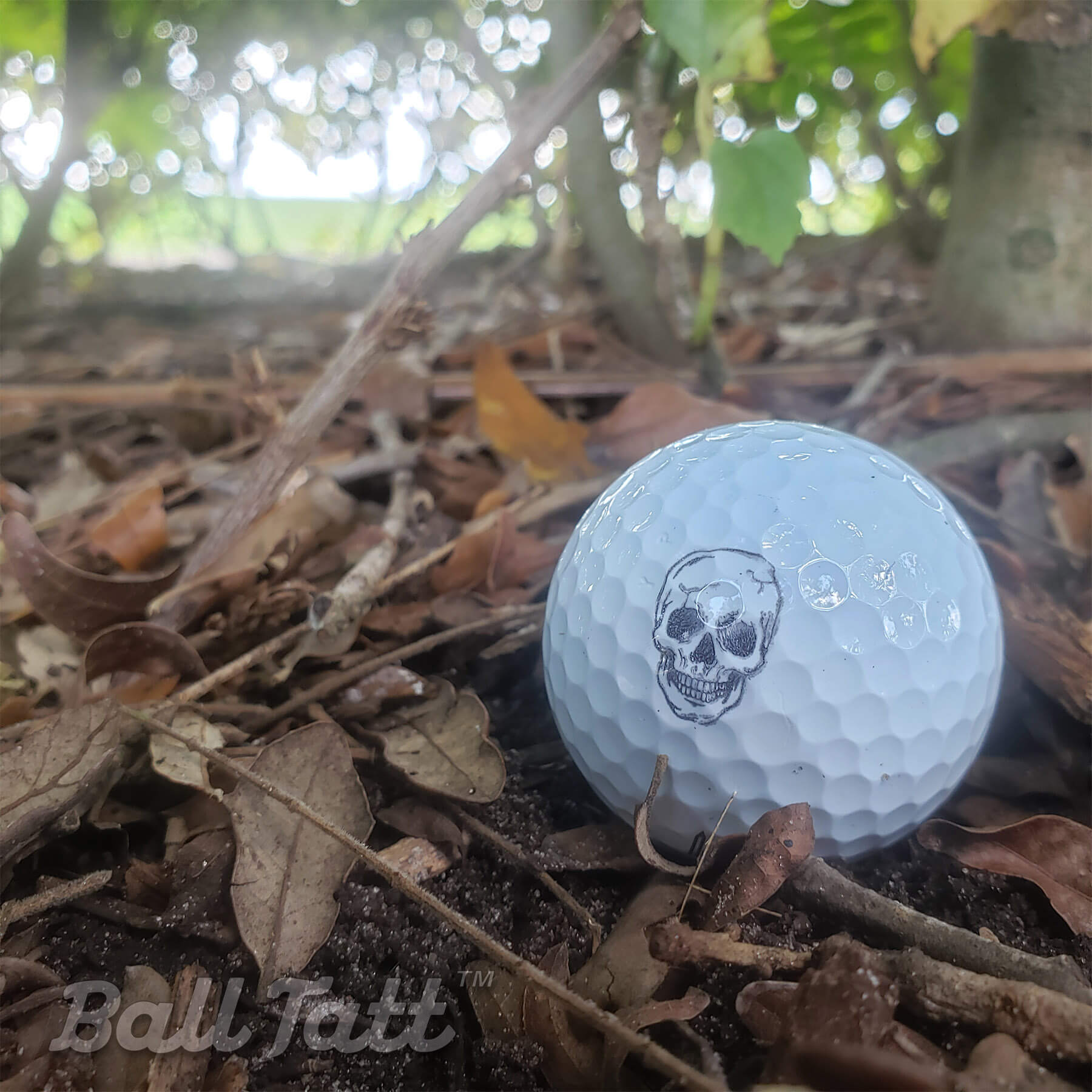 Skull Man Golf Ball Stamp