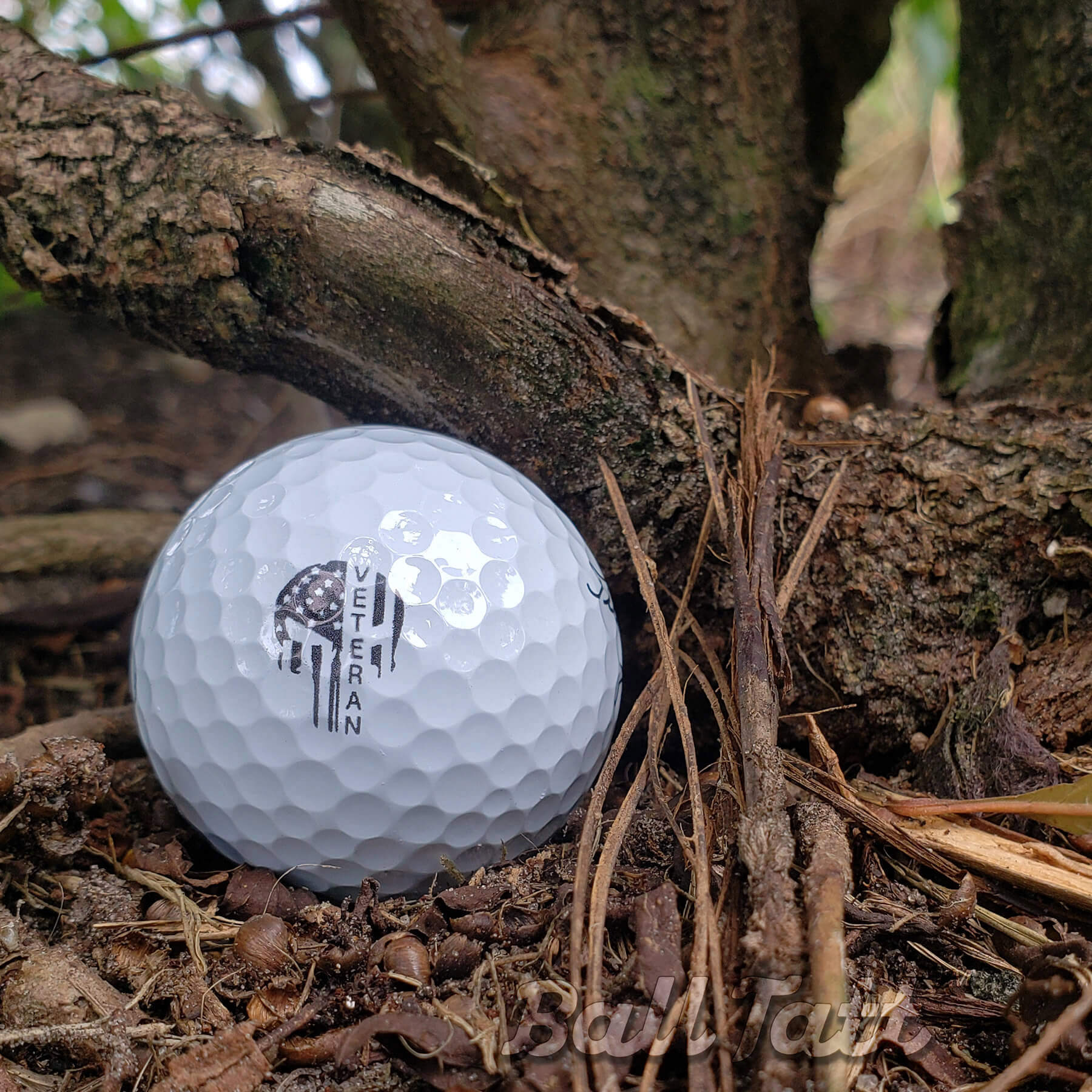 Veteran Punisher Golf Ball Stamp