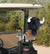 Manly Mammals Golf Headcover