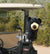 Black Bear Golf Headcover