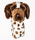 German Shorthaired Pointer Golf Headcover