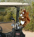 Manly Mammals Golf Headcover