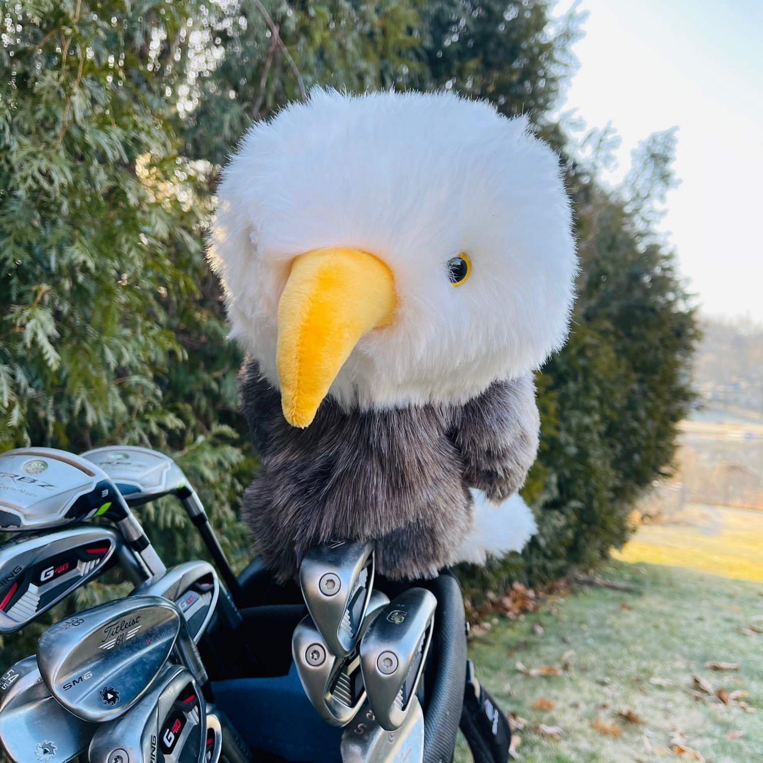 Ernie Eagle