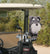 Dog Golf Headcovers